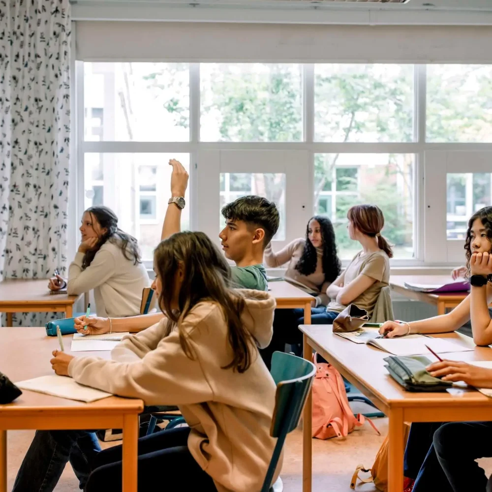 Kille räcker upp handen under lektion i ett klassrum för att få svar på hans fråga 